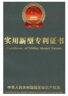 實(shí)用新型專利申請(qǐng) 高效低成本的知識(shí)產(chǎn)權(quán)保護(hù)方案