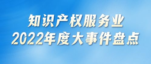 2022年度知識產權服務業發展促進篇 政策引領與業態革新并舉