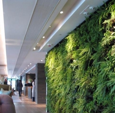 重慶垂直綠化 從自然植物墻到仿真綠墻的園林工程設計探索